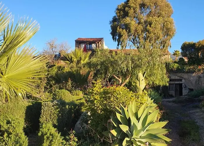 Feriehus Tenerife Nature Retreat Ifonche
