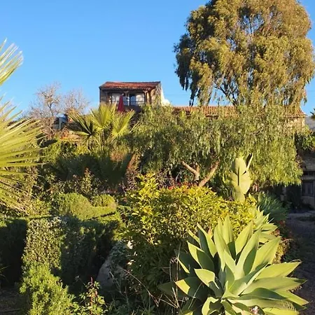 Holiday home Tenerife Nature Retreat Ifonche